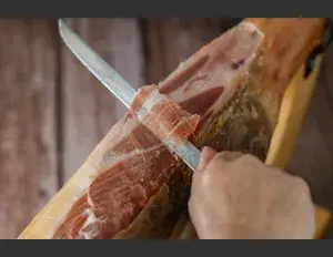 ¿Qué significa ibérico?