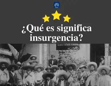 ¿Qué significa insurgencia? | Concepto y Ejemplos