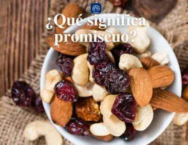 ¿Qué significa promiscuo? | Concepto y Ejemplos