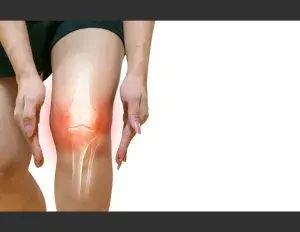 ¿Qué son las articulaciones?