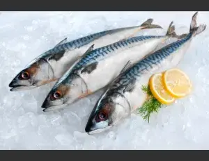 ¿Qué son los alimentos?.