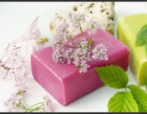 ¿Qué son los lípidos?