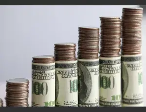 ¿Qué son los recursos?