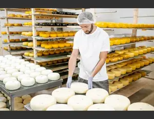 ¿Cuál es la familia léxica de la palabra queso?