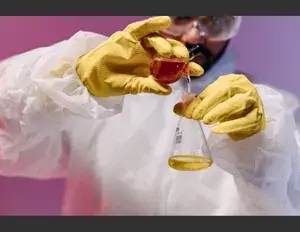 ¿Cuál es la familia léxica de la palabra química?
