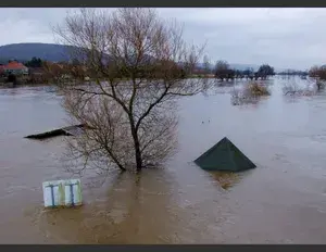 ¿Cuál es la familia léxica de la palabra rio?
