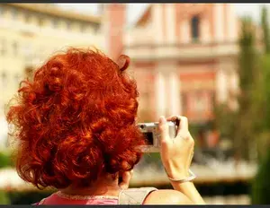 ¿Cuál es la familia léxica de la palabra rojo?