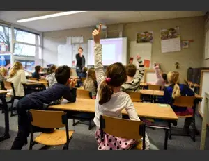 ¿Qué es un ser social y un ser individual?