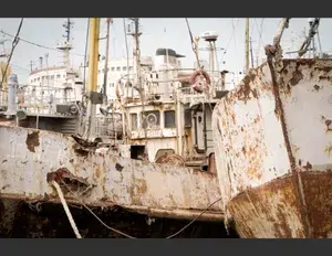 ¿Cuál es la familia léxica de la palabra servir?