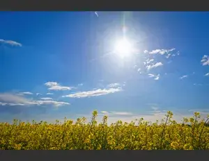 ¿Cuál es la familia léxica de la palabra sol?