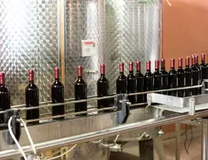 ¿Qué es un tecnólogo?