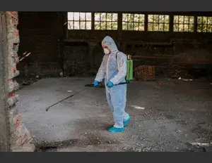 ¿Cuál es la familia léxica de la palabra terminar?