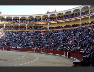 ¿Cuál es la familia léxica de la palabra toro?