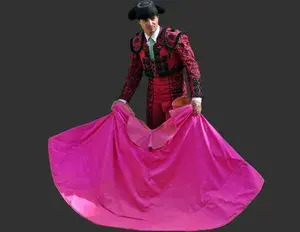 ¿Cuál es la familia léxica de la palabra toro?