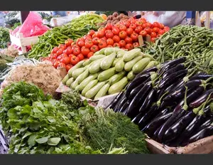 ¿Cuál es la familia léxica de la palabra verdura?